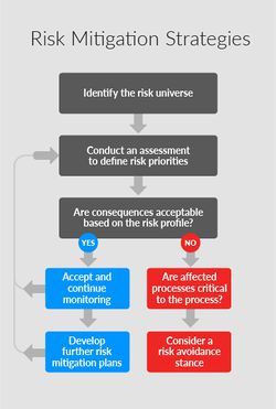 Risk Mitigation Strategies