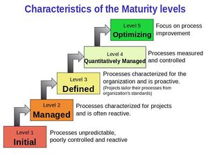 CMM Levels