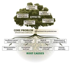 Problem Tree Example