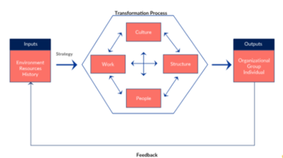Congruence Model