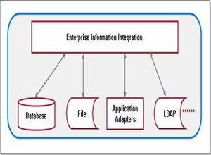 Enterprise Information Integration