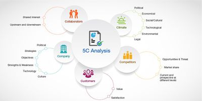 5C's Marketing Strategy