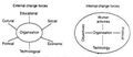 Forces of Organizational Change.jpg