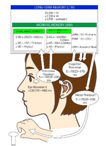 File:Model Human Processor.png