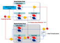 Thumbnail for version as of 13:34, 1 October 2021