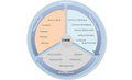 CMDB - IT Asset Management.png