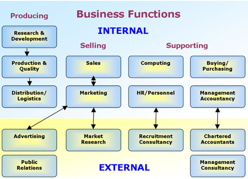 File:BusinessFunction.png