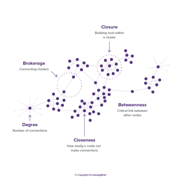 File:Social Network3.png