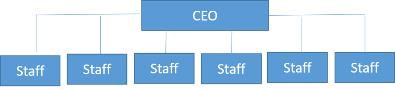 File:Flat organization.png