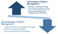 Advantages and Disadvantages of Matrix Management.png