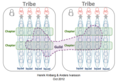 Thumbnail for version as of 13:13, 3 September 2021