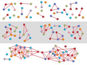 Social Network