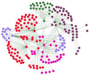 Social Network 1